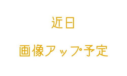 ミッキー＆ダッフィーフレンズ トートバッグ ダッフィー＆フレンズのフロムオールオブアス 2023 40周年 ディズニー グッズ お土産【東京ディズニーシー限定】