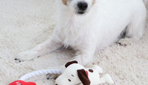 犬 おもちゃ スヌーピー ハート トイ | ハートモチーフ ぬいぐるみ ロープ 音が鳴る 玩具 オモチャ 犬 トイ TOY 小型犬 猫 かわいい おもしろ インスタ映え キャラクター グッズ プレゼント ギフト 母の日