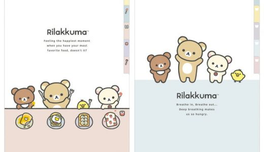 【4月下旬〜5月上旬入荷予定予約】リラックマ NEW BASIC RILAKKUMA Vol.2 インデックスホルダー(5ポケット)　FA08401/FA08402【リラックマ/コリラックマ/キイロイトリ/チャイロイコグマ/サンエックス/文具/文房具/クリアファイル/書類/整理整頓/連絡袋】