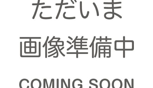 ぐでたま ネームタグ サンリオキャラクター大賞