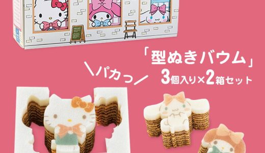 サンリオキャラクターズ　かたぬきバウム 3個入り2箱セット 型ぬきバウム カタヌキヤ ぶどうの木 バウムクーヘン ミニバウム ハローキティ マイメロディ シナモンロール サンリオ キャラクター スイーツ グッズ 手土産 お菓子