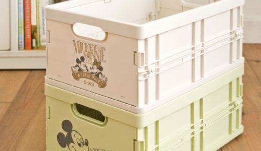 Disney STACKING CONTAINER ディズニースタッキングコンテナ 4個セット