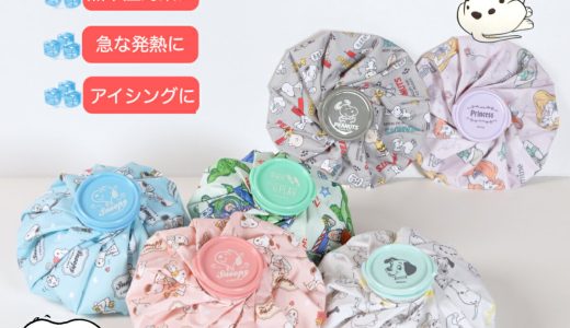 【送料無料】氷のう 氷嚢 スヌーピー ディズニー キャラクター アイシング 熱中症対策 暑さ対策 かわいい 部活 習い事 スポーツ バスケ SNOOPY ディズニー Disney アイスバッグ