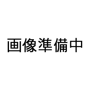 【エビス EBiSU】エビス 子供ハブラシ ぐでたま 2〜6才 B-6311