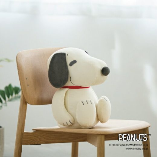 ミズノ｜mizuno 【PEANUTS】スヌーピー メディシンボール(オフホワイト)C3JHI20902