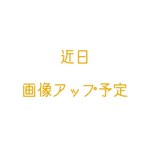 ダッフィー＆フレンズ 袋入りポテトスナック ダッフィー＆フレンズ サマーナイトメロディー 2023 お菓子 ディズニー グッズ お土産【東京ディズニーシー限定】