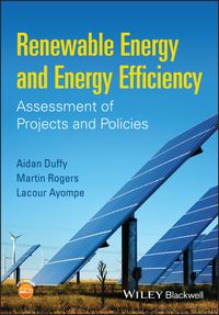 Renewable Energy and Energy Efficiency Assessment of Projects and Policies【電子書籍】[ Aidan Duffy ]