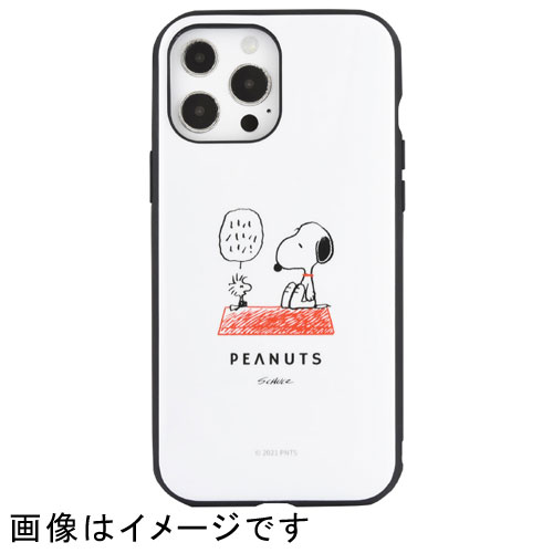 グルマンディーズ gourmandis SNG-603A(ドッグハウス) iPhone 13 Pro Max対応ケース スヌーピー ピーナッツ IIIIfit SNG603AIFT