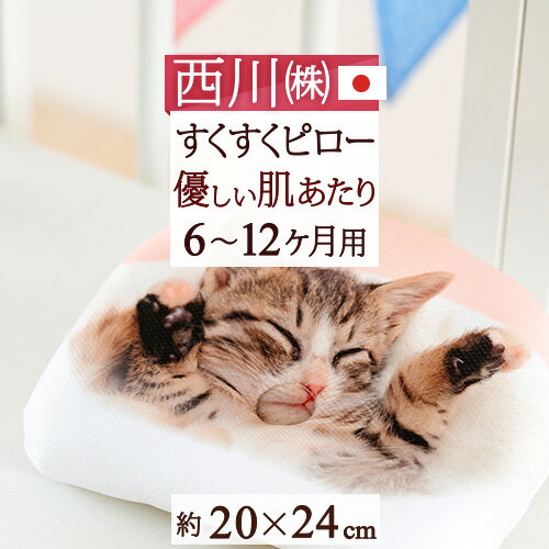 マラソン★10%OFFクーポン 西川 ベビー枕 20×24cm すくすくピロー 日本製 赤ちゃんの眠りを快適に ベビーピロー 西川リビング 洗える ベビー用まくら リラックマ くまのがっこう スヌーピー（6ヶ月～12ヶ月） ベビー