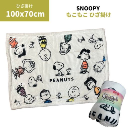 毛布 ブランケット スヌーピー SNOOPY 西川 裏ボアひざ掛け毛布 PN2680BD ふわふわ ブランケット 70×100cm　ひざかけ