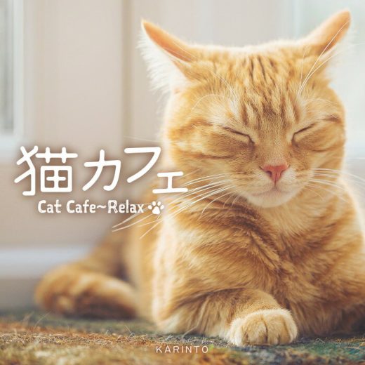 (試聴できます) 猫カフェ | リラックス ヒーリング 音楽 曲 癒し DISHドラえもん となりのトトロ 手嶌葵 スピッツ みんなのうた ギター リラックス 子供 赤ちゃん ねこふんじゃった 久石譲 つじあやの 猫の恩返し おうち 家 CD BGM 送料無料